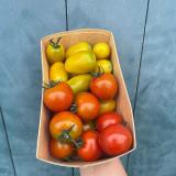 Cherrytomaten rot im Schälchen, 500g, eigener Anbau