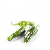 Pimientos de Padron, Bratpaprika, eigener Anbau