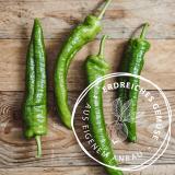 Spitzpaprika, grün, eigener Anbau