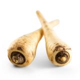 Pastinake, eigener Anbau