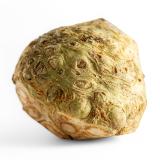 Sellerieknolle, eigener Anbau