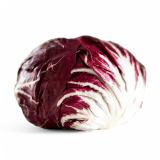 Radicchio, eigener Anbau