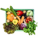 Gemüsekiste 25 Euro