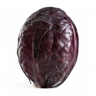 Rotkohl, neue Ernte