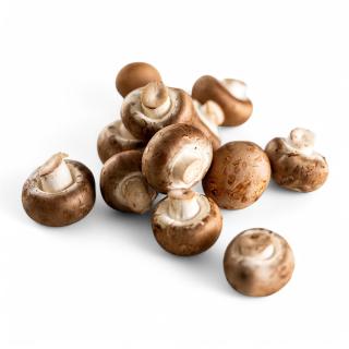 Pilze Champignons