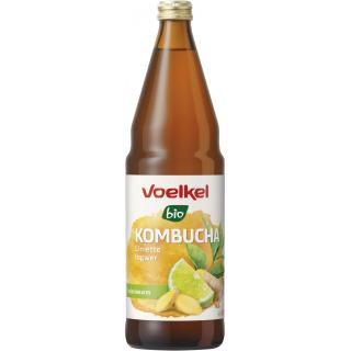 Kombucha Limette Ingwer