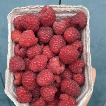 Himbeeren 150g Schale