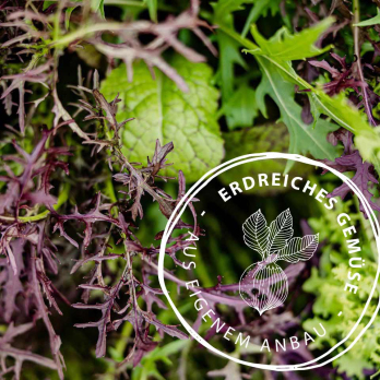 Asia Mix Salat, eigener Anbau